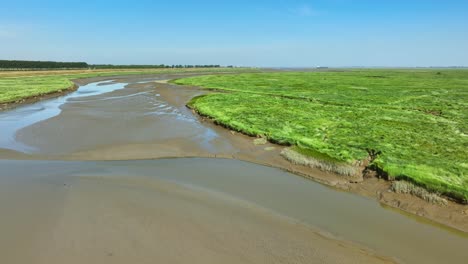 aerial shot flying backwards over mudflats in spectacular green wetlands underneath a clear blue sky