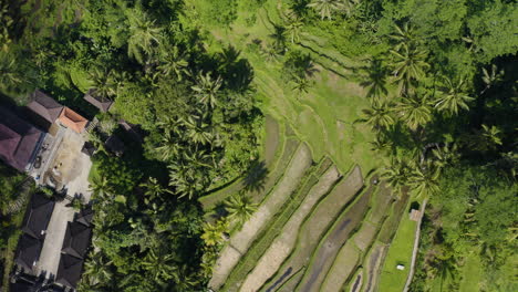 Top-view-of-Gunung-Kawi-Temple-at-Bali,-Indonesia