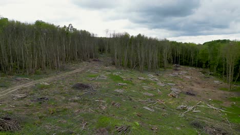 drone footage flying towards a tree line and over some deforestation