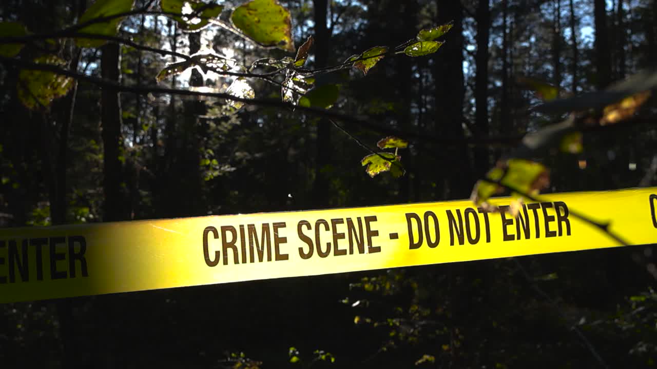 Crime scene police line yellow forensic investigation tape pulled in front of a sunny and thick forest area while sunlight backlight the ribbon. Leaves and branches in the foreground. Cinematic motion