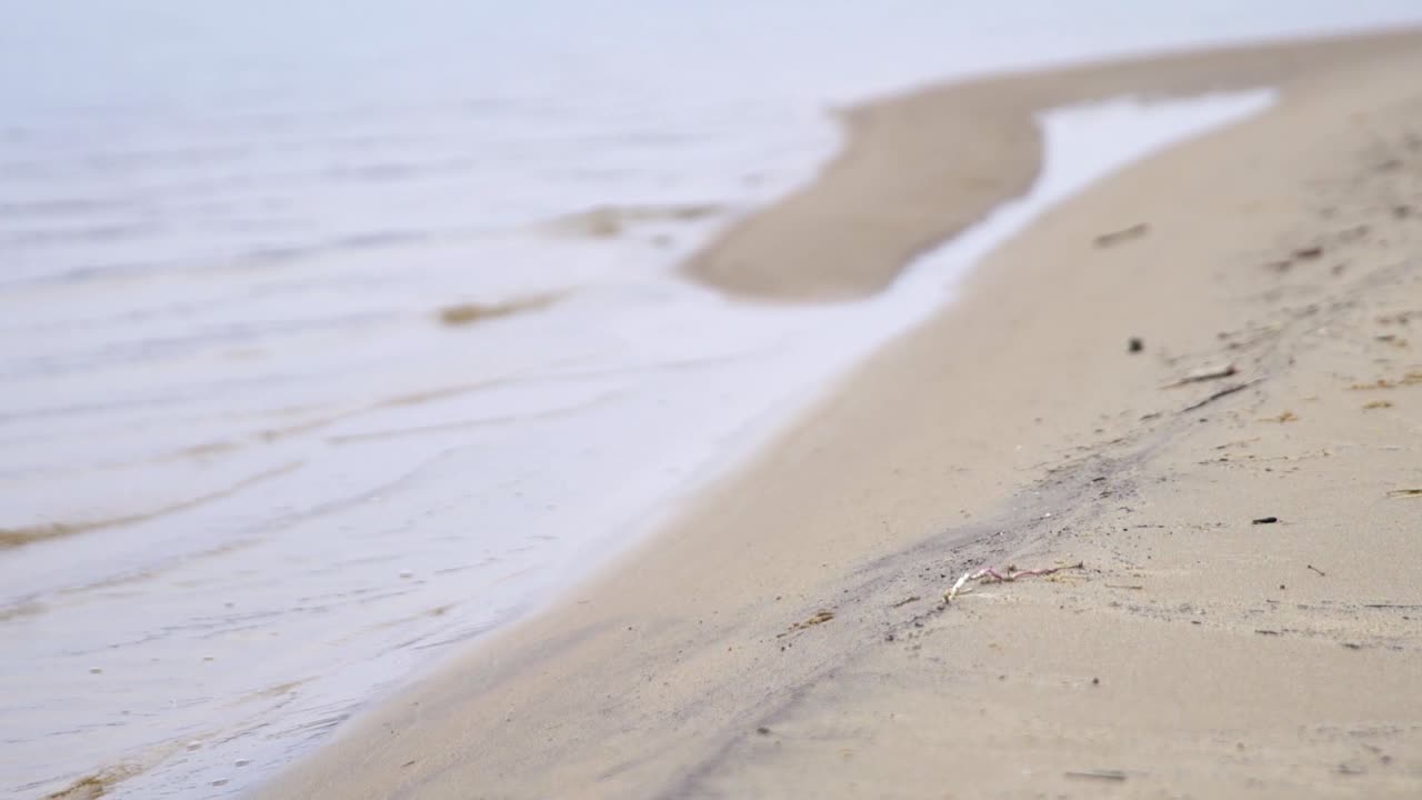 해변의 부드러운 파도