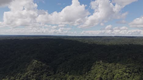 Revealing-the-landscape-of-the-Pomona-rainforest,-Ecuador-by-drones