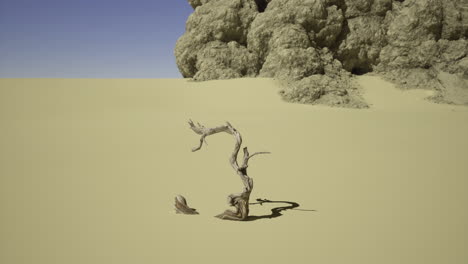 dead tree in the desert landscape