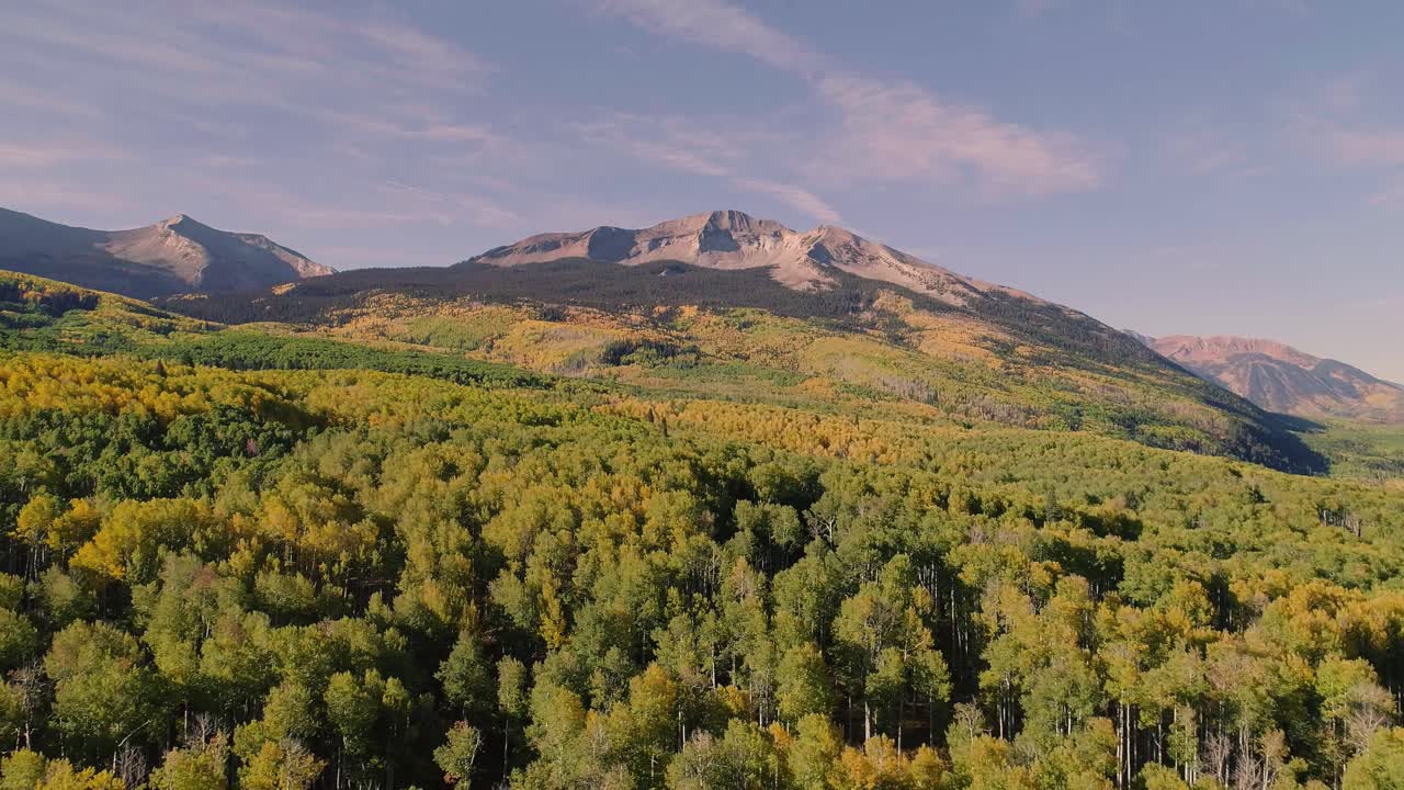 Pioppi tremuli che cambiano colore sul Kebler Pass, Colorado.