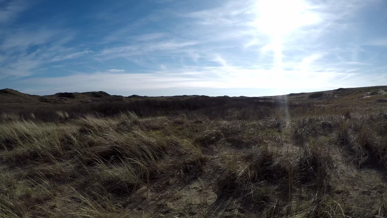paisaje de dunas en la isla holandesa texel
