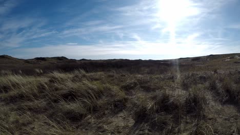 Dünenlandschaft-Auf-Der-Niederländischen-Insel-Texel