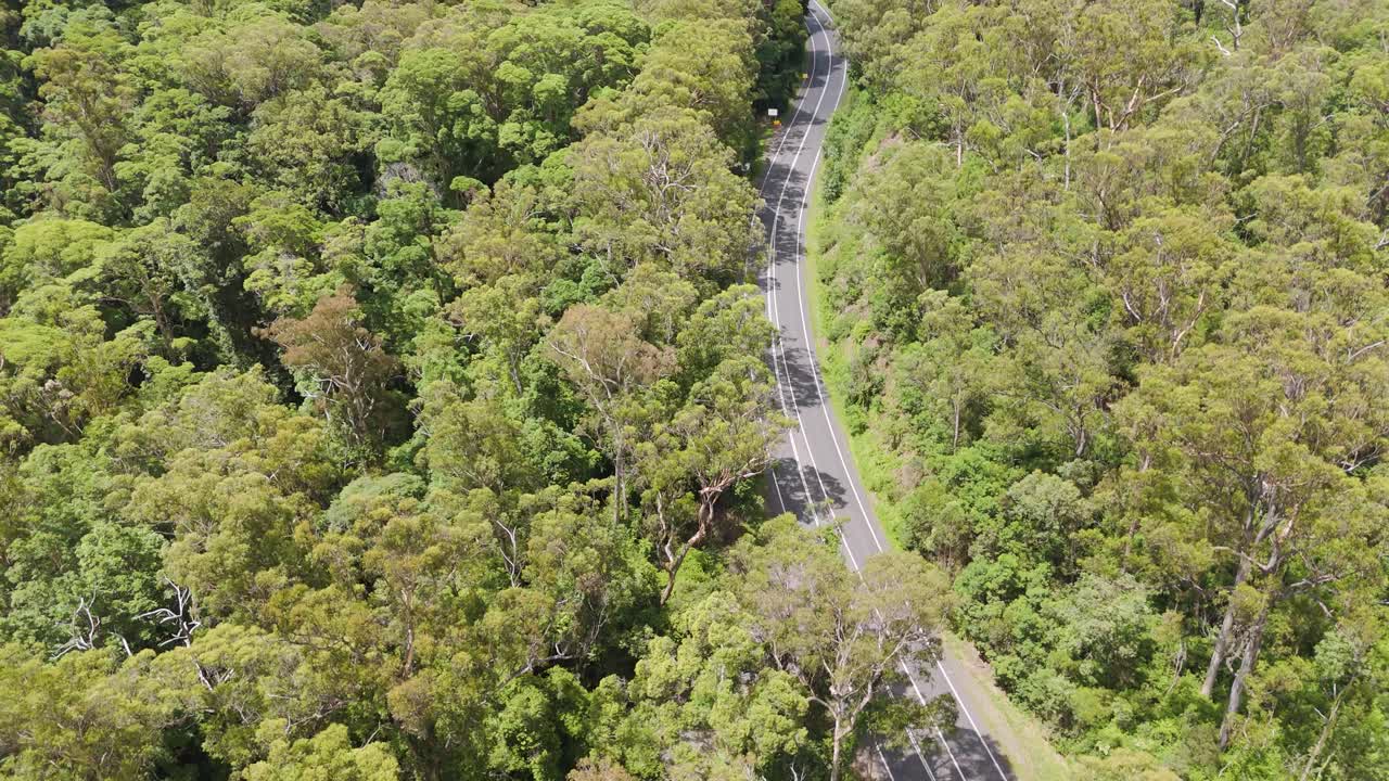 sobrevuelo de aviones no tripulados de la carretera a través de bosques densos