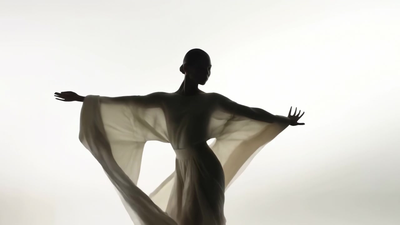 Centered adult female silhouette in profile during graceful rotation with arms extended, holding wide translucent fabric that billows into layered winglike shapes with soft dramatic contrast