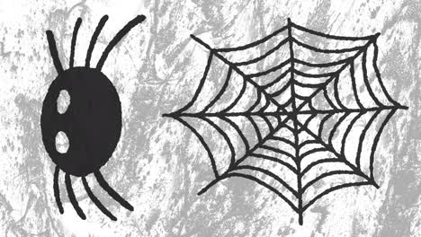 animation of spider and web on moving white and grey background