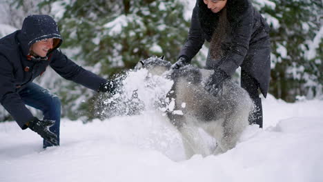 man and woman have fun walking with siberian husky in winter forest playing and throwing snow