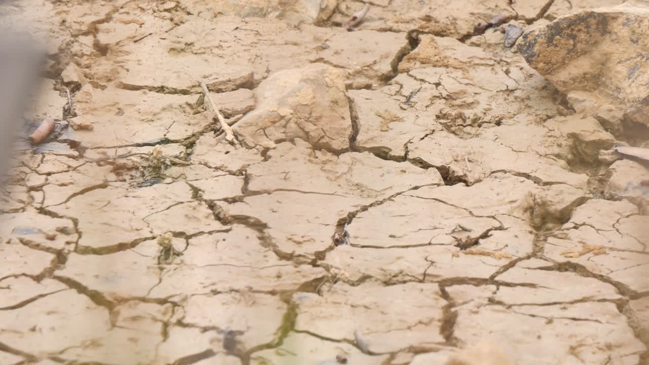 Cracked earth with hot sun