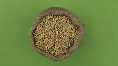 rotation of a full sack of oat grain. top view. isolated