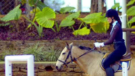 panoramic-shot,-female-jockey-gallop,-on-brown-horse-stallion,-horse-lightriding,-galloping,-horse-riding,-hotfoot