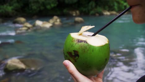 drinking healthy coconut water juice in tropical rainforest with plastic drinking straw at rio celeste, costa rica