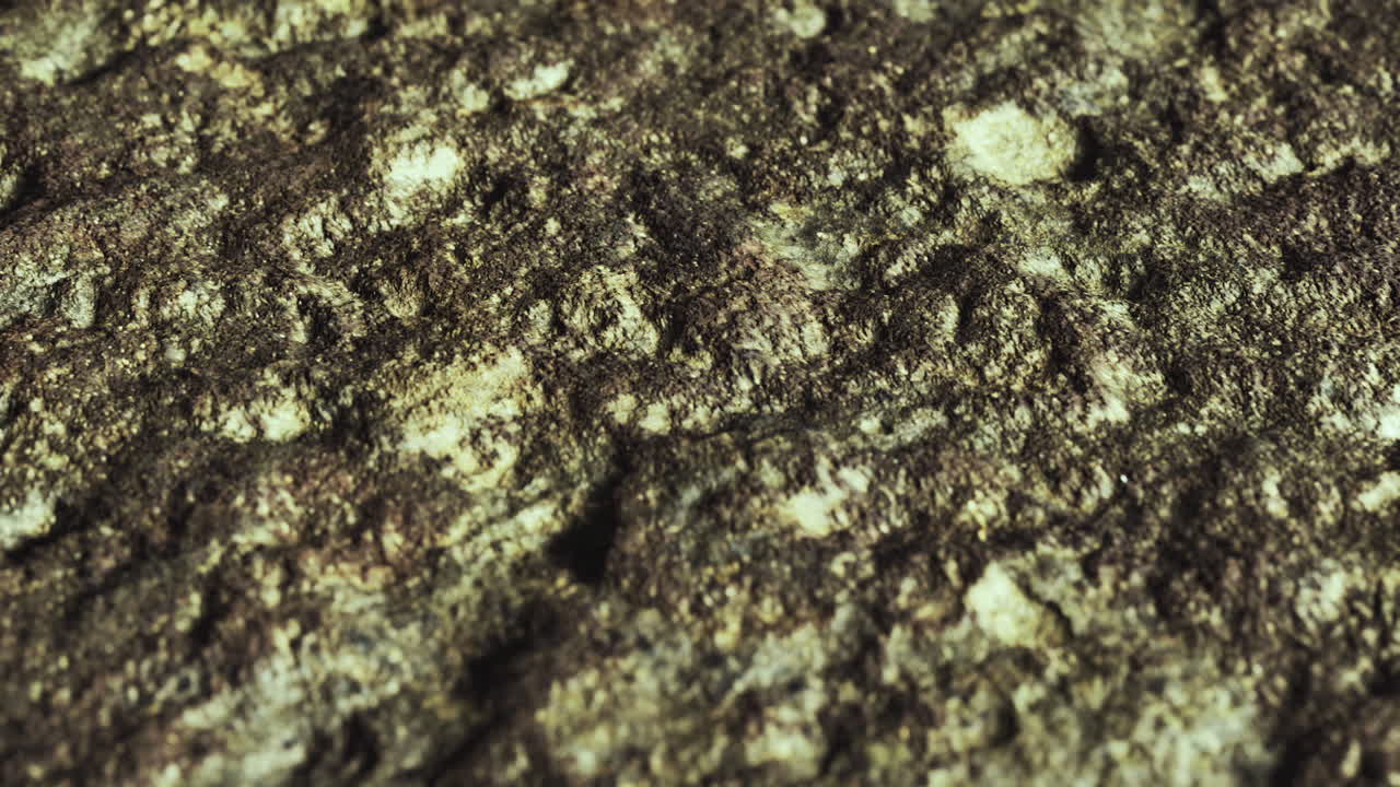 Close up view of textured rock surface in nature with moss and lichen