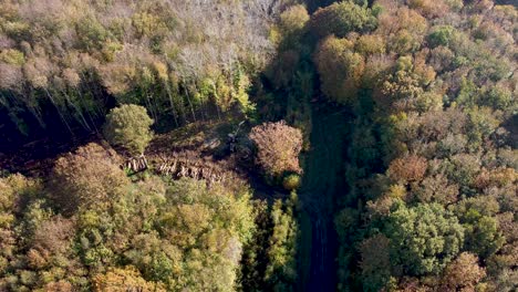 deforestation in england captured by 4k drone