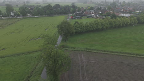 drone shot in the rain in belgium of a group of cyclist biking in a swarm during a race in between the trees on a grey and wet day log