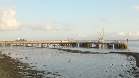 industrial pier with cargo ships moving in the background