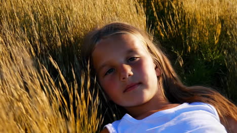 young girl relaxing in a golden wheat field