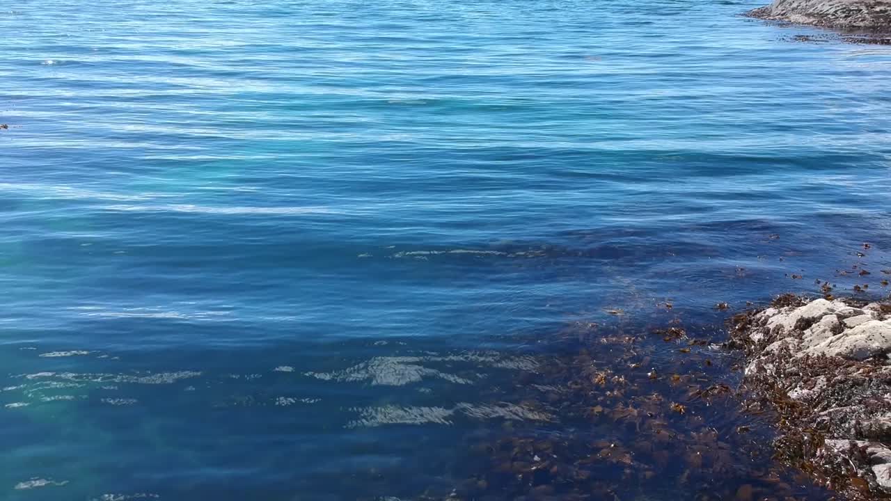 바다 물 표면의 푸시 다운 드론