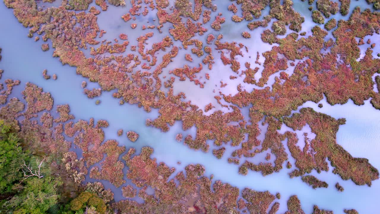 알바니아 근처 의 이오니아 해 에 있는 부트린트 국립 공원 꼭대기 아래