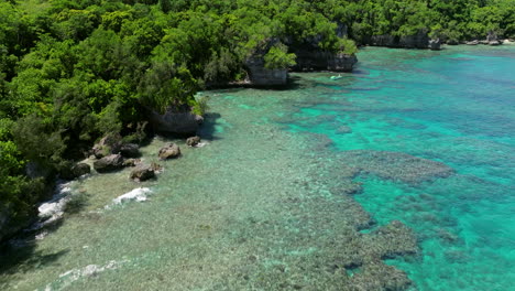 coral reef under crystal-clear blue waters in moso island, vanuatu