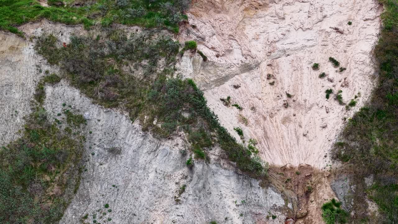Aerial view of a lone red fox sitting on a sandy bluff surrounded by green vegetation