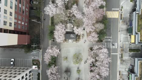 Aerial-drone-top-down-view-Seoul-city-centre-empty-and-quiet-in-Covid-lockdown,-South-Korea