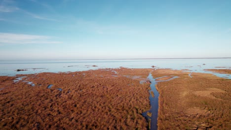 beautiful coastal scene with greenery in golden hour