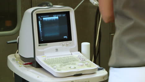 veterinarian taking the ultrasound device for examination in the animal clinic