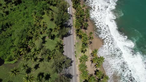 carretera costera en samaná en la república dominicana
