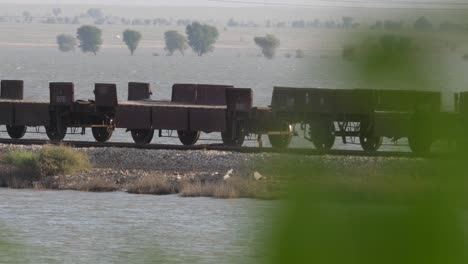 vista de vagones de ferrocarril vacíos en vías vistas a través de ramas de árboles verdes en sindh, pakistán