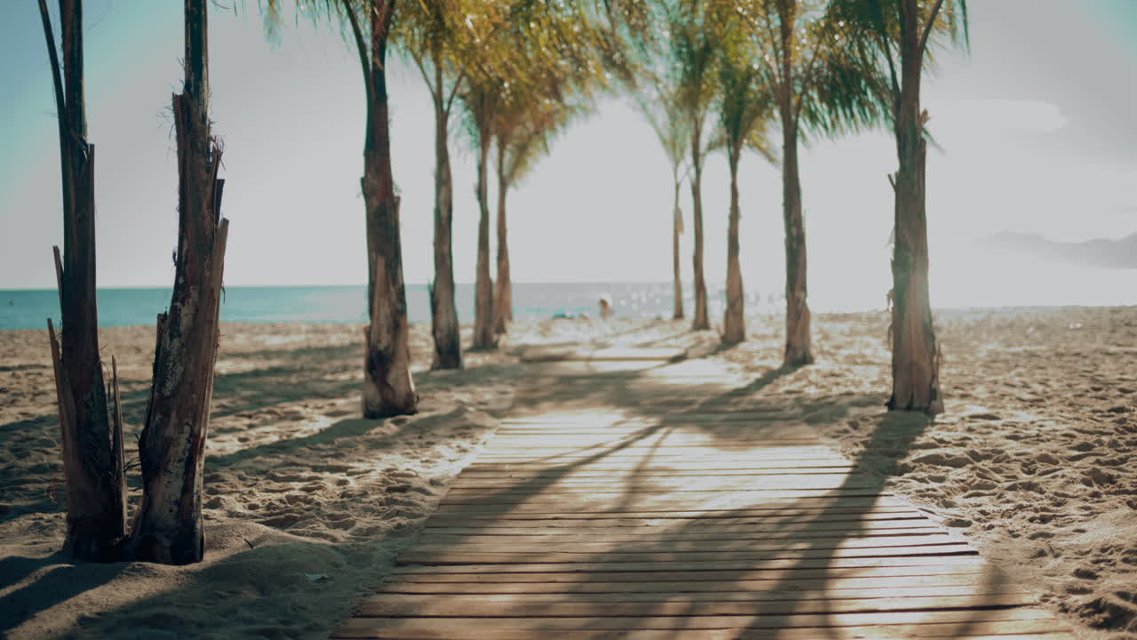 Wooden walkway surrounded by palm trees leading to a sunny beach with clear blue water