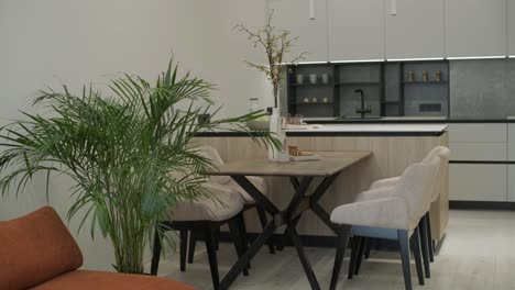modern open-plan kitchen and dining area