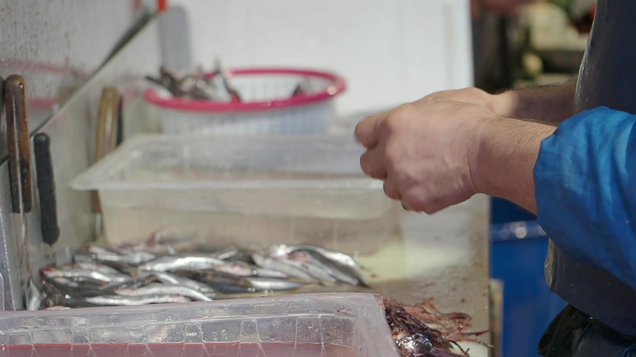 Close-up of a Fishmonger's Hands Cleaning Fresh Anchovies