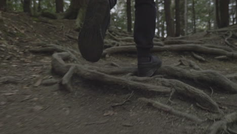 slow motion close up of feet running over roots in the forest