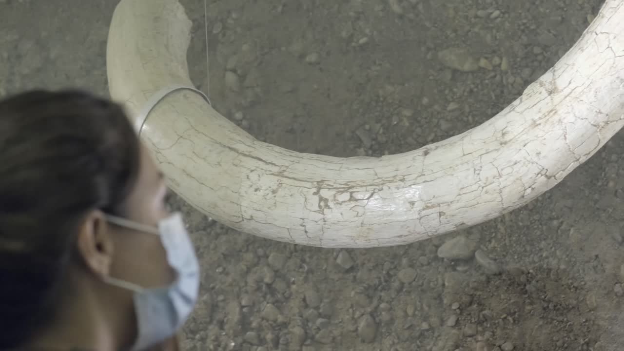 mujer joven con mascarilla visitando el museo histórico en circunstancias pandémicas