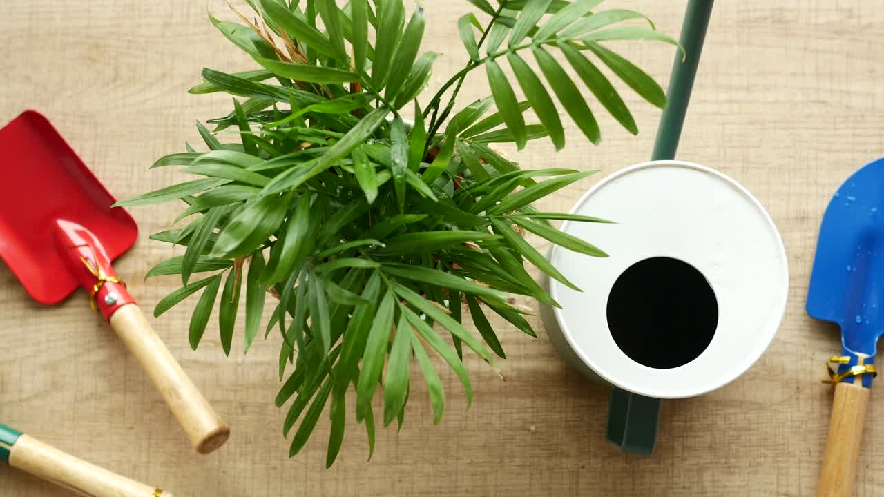 Gardening Tools and Houseplant