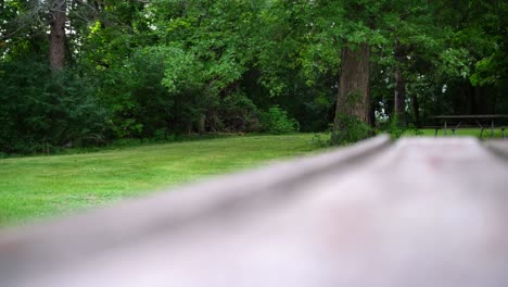 A-creative-static-shot-of-a-picnic-table-that-has-a-line-that-leads-your-eyes-to-some-trees-and-some-bushes-at-a-park