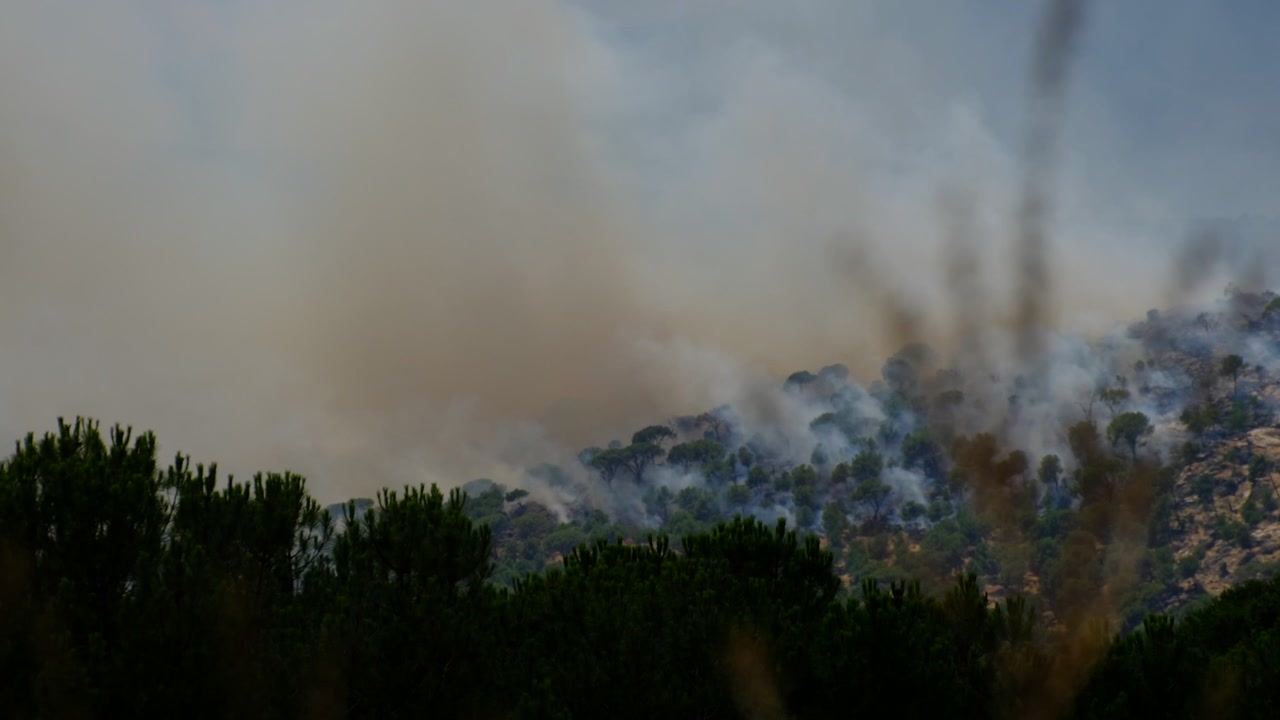 Fumo da un incendio boschivo copre le colline dietro pini verdi vicino alla Valle de Iruelas e al bacino di El Burguillo