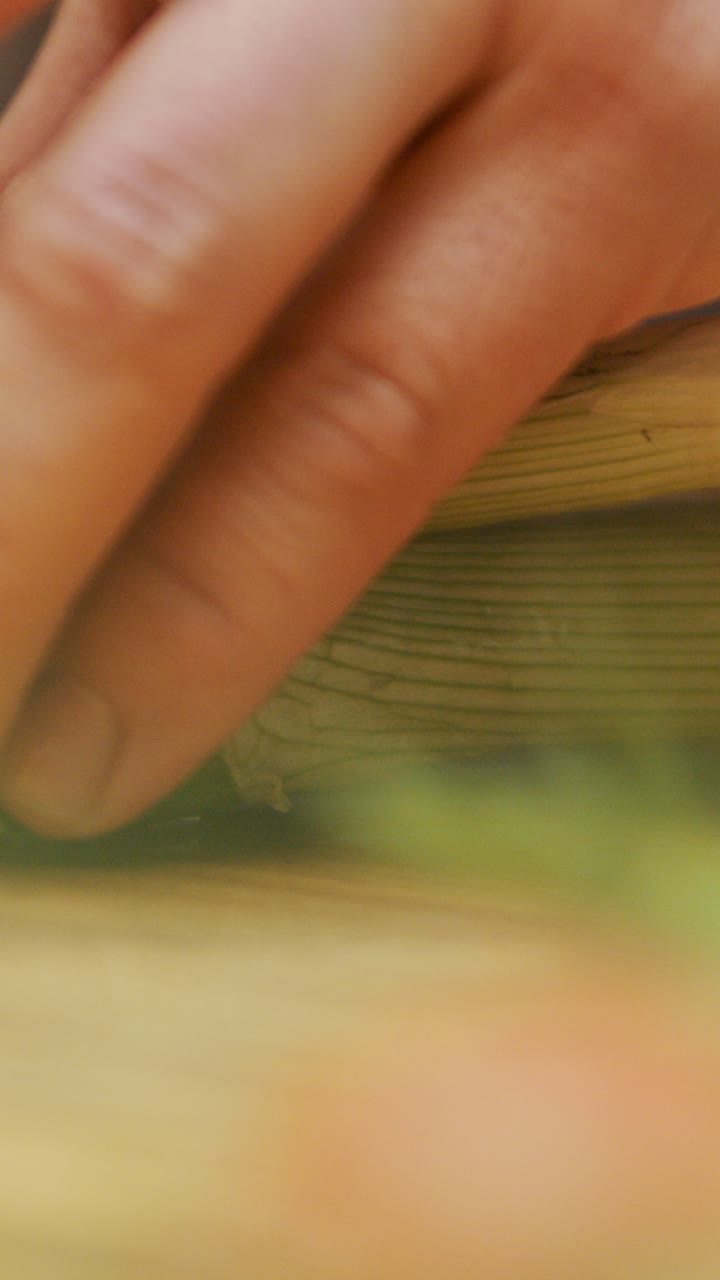 초록 양파를 잘라