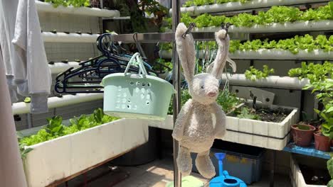 stuffed toy rabbit hanging and drying under bright sunlight at backyard, baby's greatest comfort