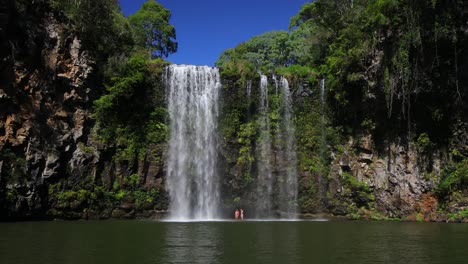 Toma-De-Establecimiento-De-Dangar-Falls-En-Dorrigo,-Nueva-Gales-Del-Sur,-Australia-1