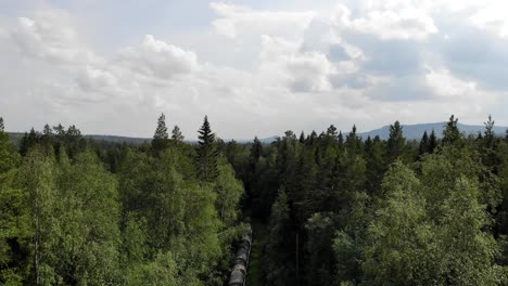 Antena---Tubería-En-Un-Bosque-En-La-Región-ártica-De-Suecia,-Tiro-Ancho-En-Aumento