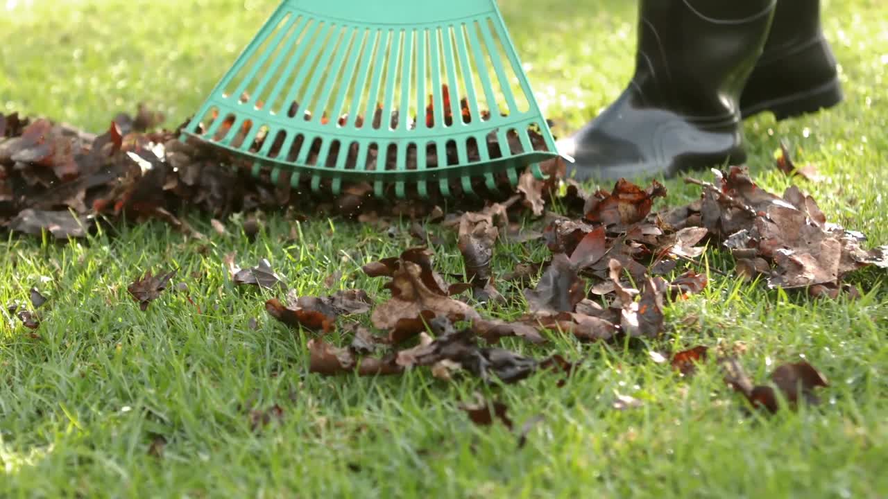 hombre jardinero rastrillando las hojas