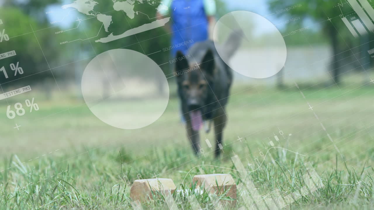 trainer guiding dog chasing dumbbell in tech training, showing animated bar charts and map overlays