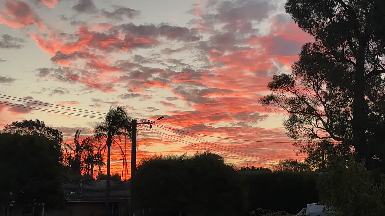 Red Orange Pink Sunset Sky Silhouette Perth Western Australia power line palms