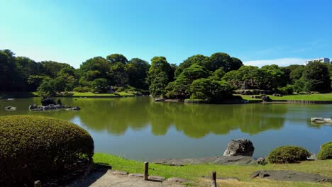 the beautiful park in tokyo