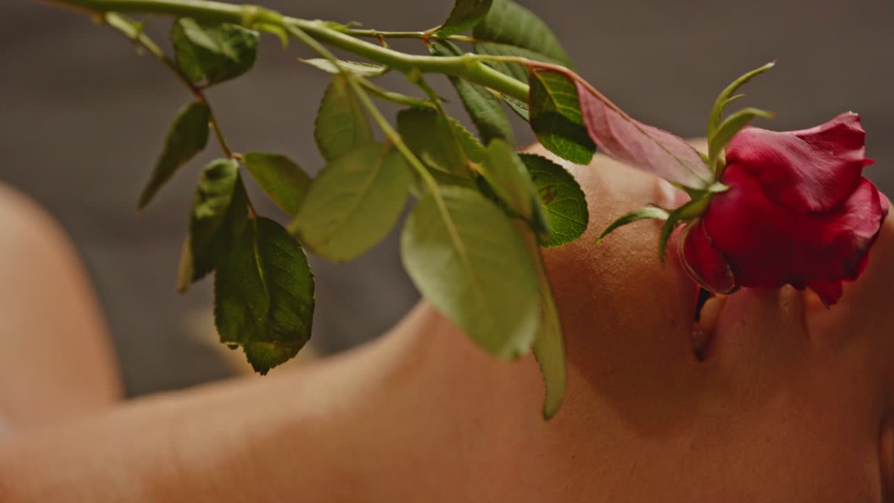 Primo piano di una bella giovane donna che gioca seducentemente con una rosa e accarezza il viso con i petali mentre è sdraiata a letto
