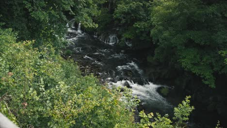 Small-waterfalls-cascading-through-dense-green-foliage-and-a-rocky-stream-in-Rastoke,-Croatia